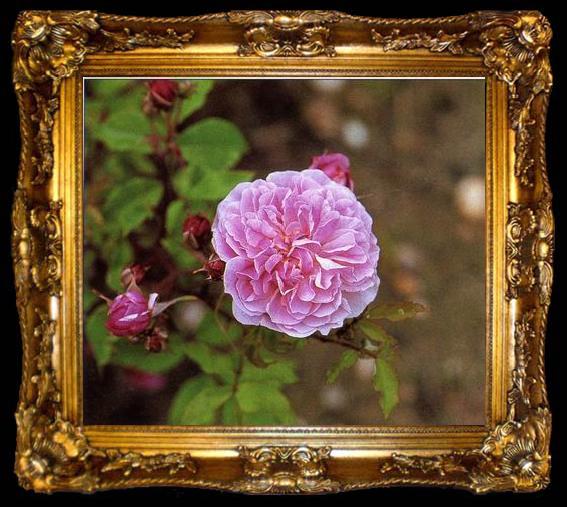 framed  unknow artist Still life floral, all kinds of reality flowers oil painting  292, ta009-2